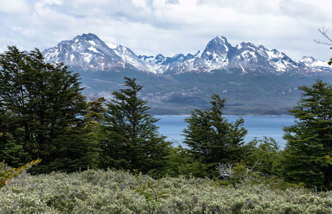 Escursione privata da Ushuaia - Foto 3