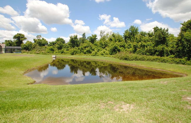 Tree Top Retreat - Foto 23