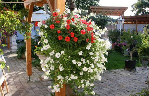 Chalet Valley - Foto 23