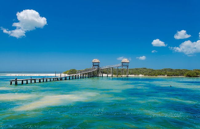 Ganztägige Tour nach Holbox und Passion Island mit Cenote, Transport und Mittagessen - Foto 19