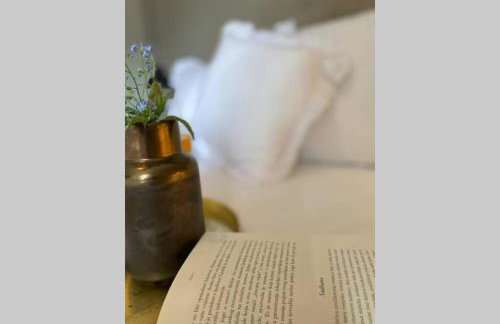 Villa Stanzietta Novigrad for 10 at Olive orchard - Foto 12