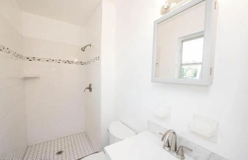 Blue Cypress - Foto 13