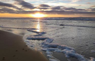 LE COURANT D'HUCHET - Foto 14