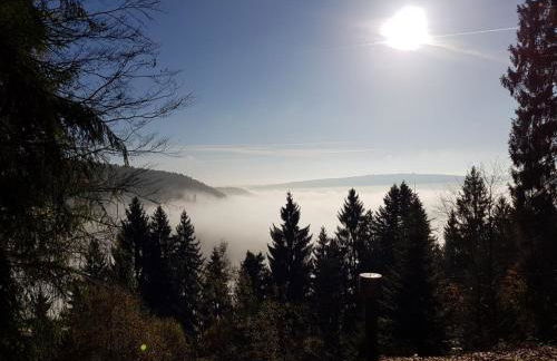 Meisterhaus Alpirsbach Wohnung OG - Foto 25