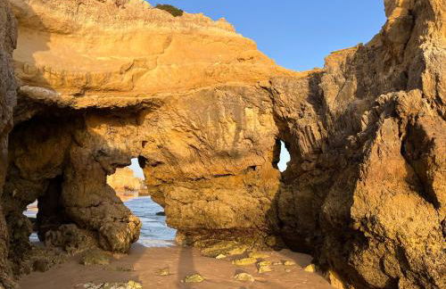 GM Premium Portimão - Foto 68