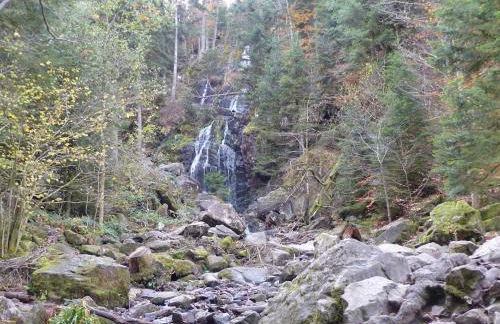 Eco-friendly chalet with private hot tub, Vosges mountain - Foto 13