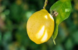 Casa Com Mãos - Foto 56