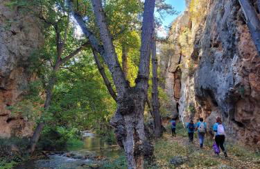 CASA RURAL SANTA AGUEDA - Photo 44