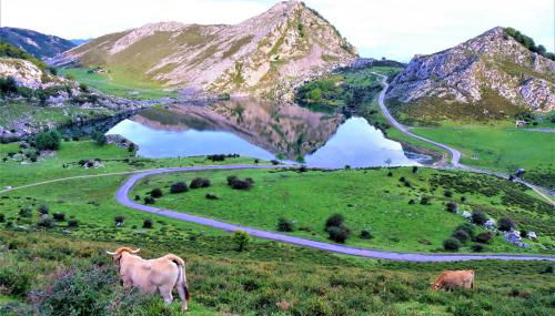 La Pitufina Blue - Foto 3