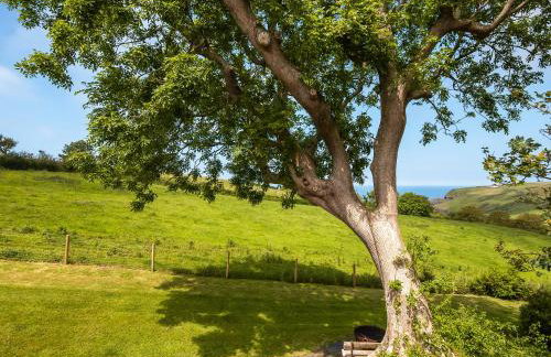 Crug Y Felin - Foto 26