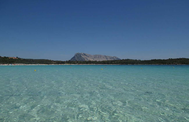 Paseo en lancha por Tavolara y Punta Coda Cavallo - Foto 6