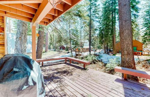 The Regal Bear - Foto 22