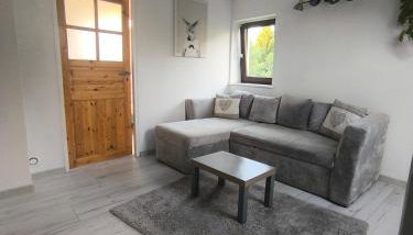 Kameralny Odpoczynek Nad Jeziorem - Foto 3