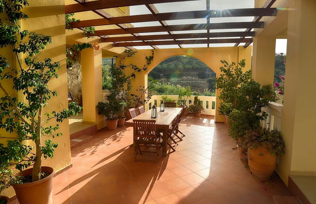 Olive Farm - Foto 25