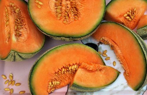 les olivades - Photo 23