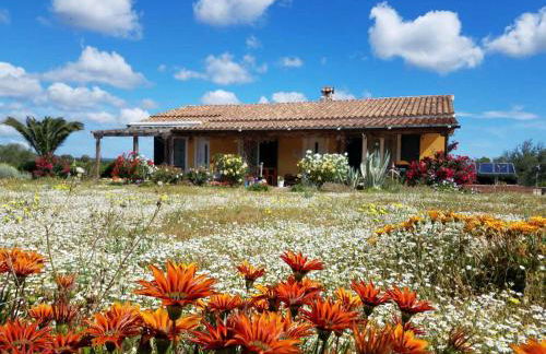 Casa Maichen Olbia - Foto 7