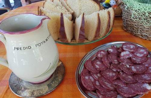 Predio Potantino - Foto 34