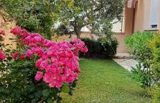 Apartments Casa Karmen - Foto 14