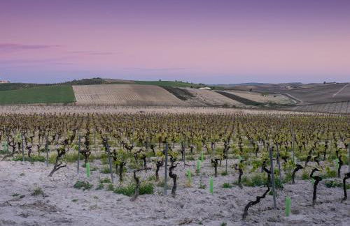 La Ermita FjHomeFj - Foto 21