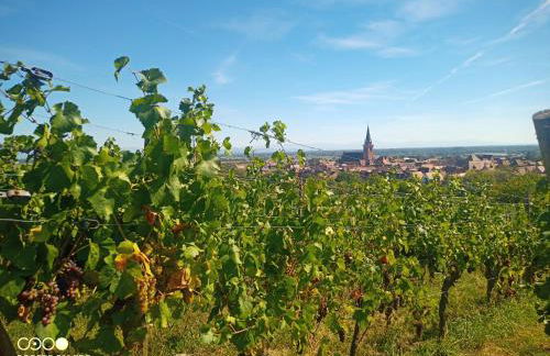 Bergheim Piscine - Foto 42