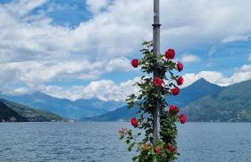 Lakeview Casa Camelia 21 - Foto 66