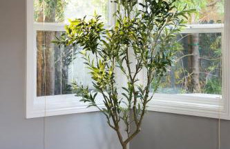 Lovely Culver City Home 8 Mins to Beach Close to LAX - Foto 37