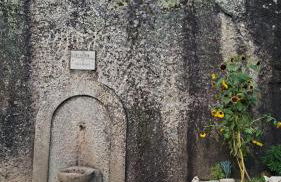 Pérola da Serra - Foto 15