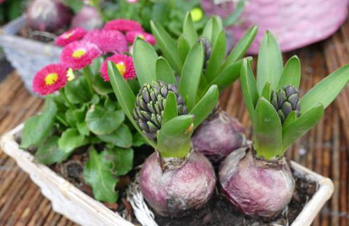 Natur-Aktiv-Hof Thiem - Foto 69