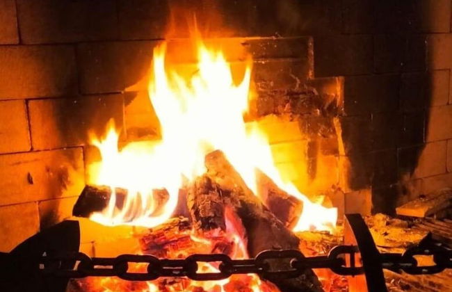 Candarlı Çiftliği - Foto 46