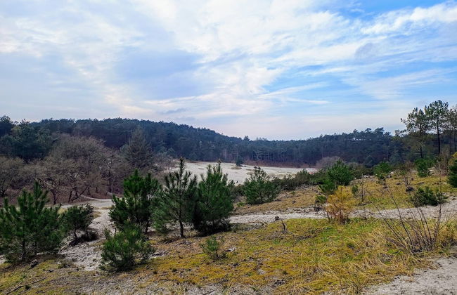 Relax Cozy Dirkshorn Stay - Photo 35