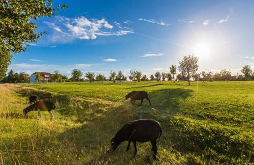 Ferienwohnung Moin - Foto 7