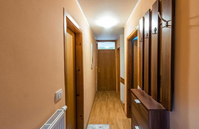 Vineyard cottage Na hribu - Photo 12