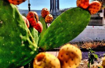 Home holiday Kalanto - Foto 32