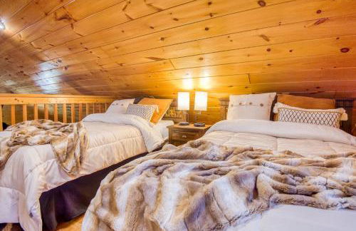 The Bear's Den - Foto 11