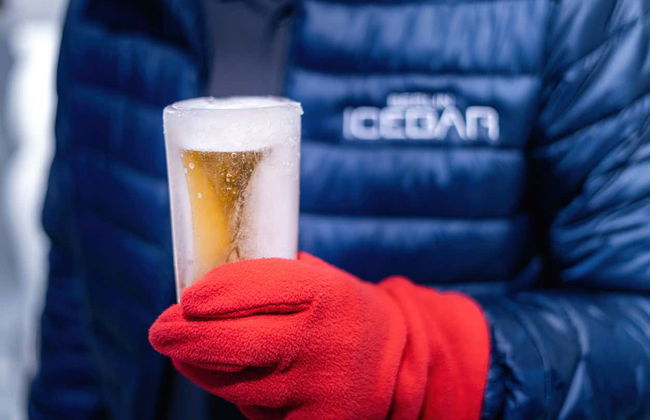 Berlin Icebar Ticket - Photo 7