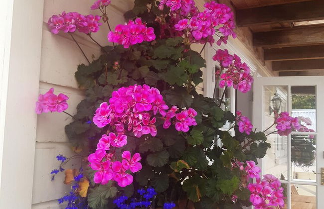 Harbour View Cottage Boutique B&b - Foto 19