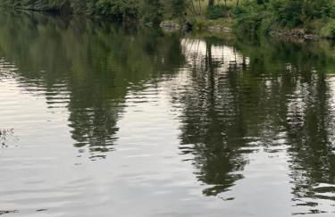 Maison n2 Donasete T1 - Foto 63