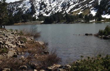 Los Ranchales Vinuesa - Foto 34