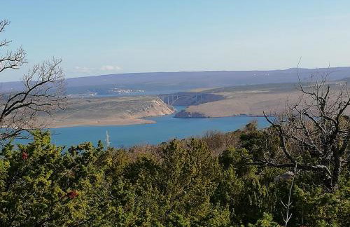 APARTMAN MAJSTOROVIĆ - Photo 48