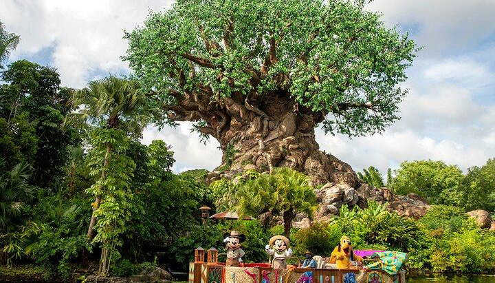 Walt Disney World Orlando Resort Base Bilhete
