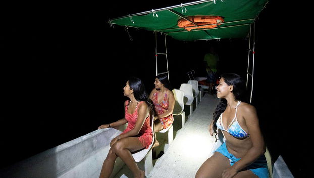 Night Tour of the Manialtepec Lagoon - Foto 5