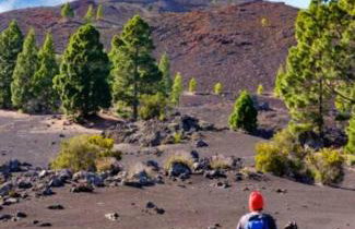 La Fortaleza - Foto 56