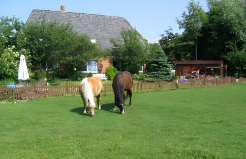 Sommerwind - Photo 16