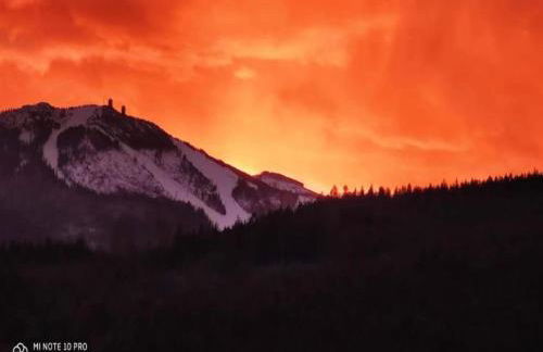 Ferienhaus in Rinchnach am Arbersee - Foto 30