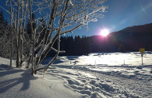 Nattersbergalm - Foto 56