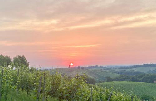 Kuća za odmor MUŠKAT - Foto 19