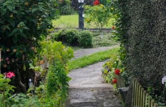 Quinta dos Afectos - Photo 17