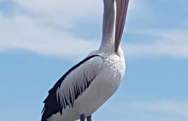 Trading Places - Photo 21