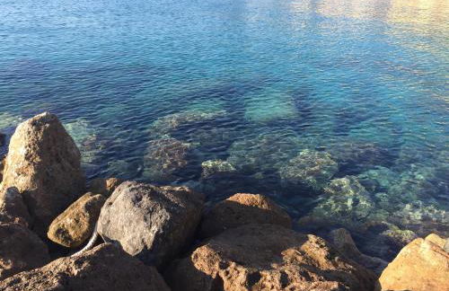 Les Agrumes - Foto 26