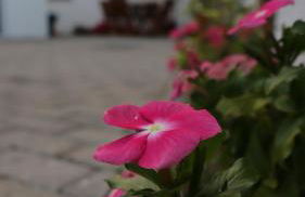 Plátano Guest House - Photo 38